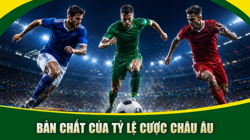 Bản chất của tỷ lệ cược châu Âu