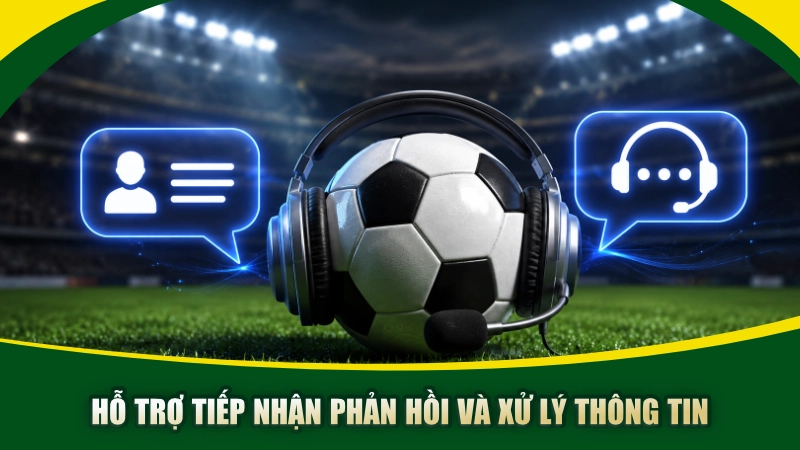 Hỗ trợ tiếp nhận phản hồi và xử lý thông tin