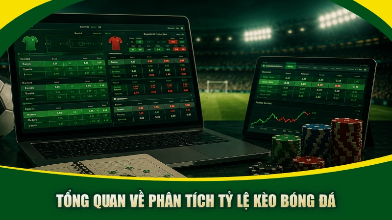 Tổng quan về phân tích tỷ lệ kèo bóng đá